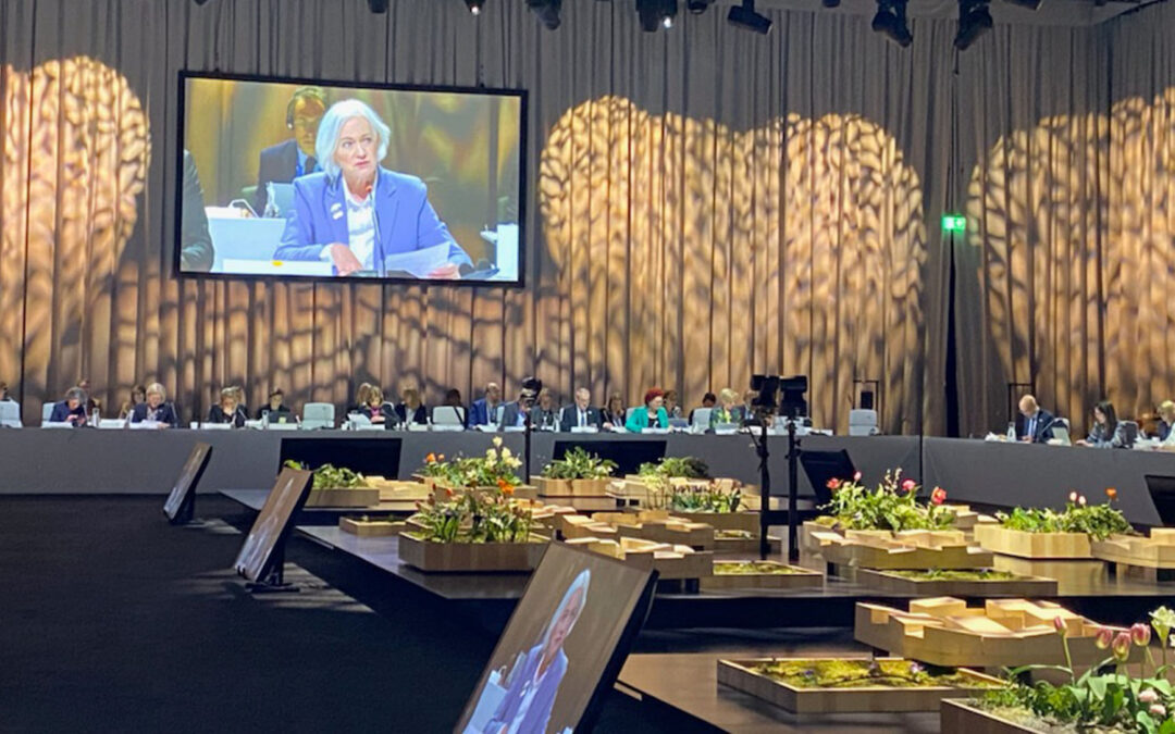 Richard Rosenquist Brandell presenterade Sveriges strategi för implementering av precisionsmedicin vid EU:s hälsoministermöte