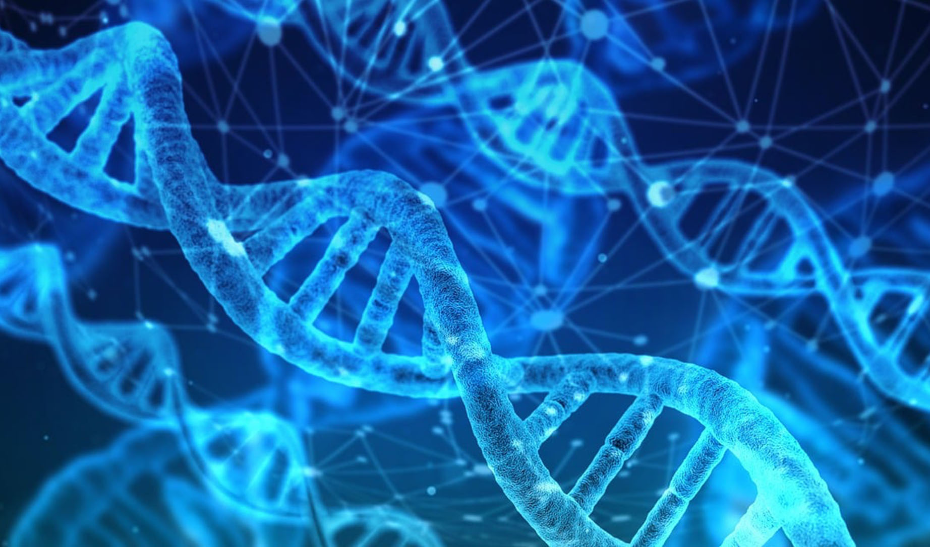 DNA helixar och nätverk i blått.