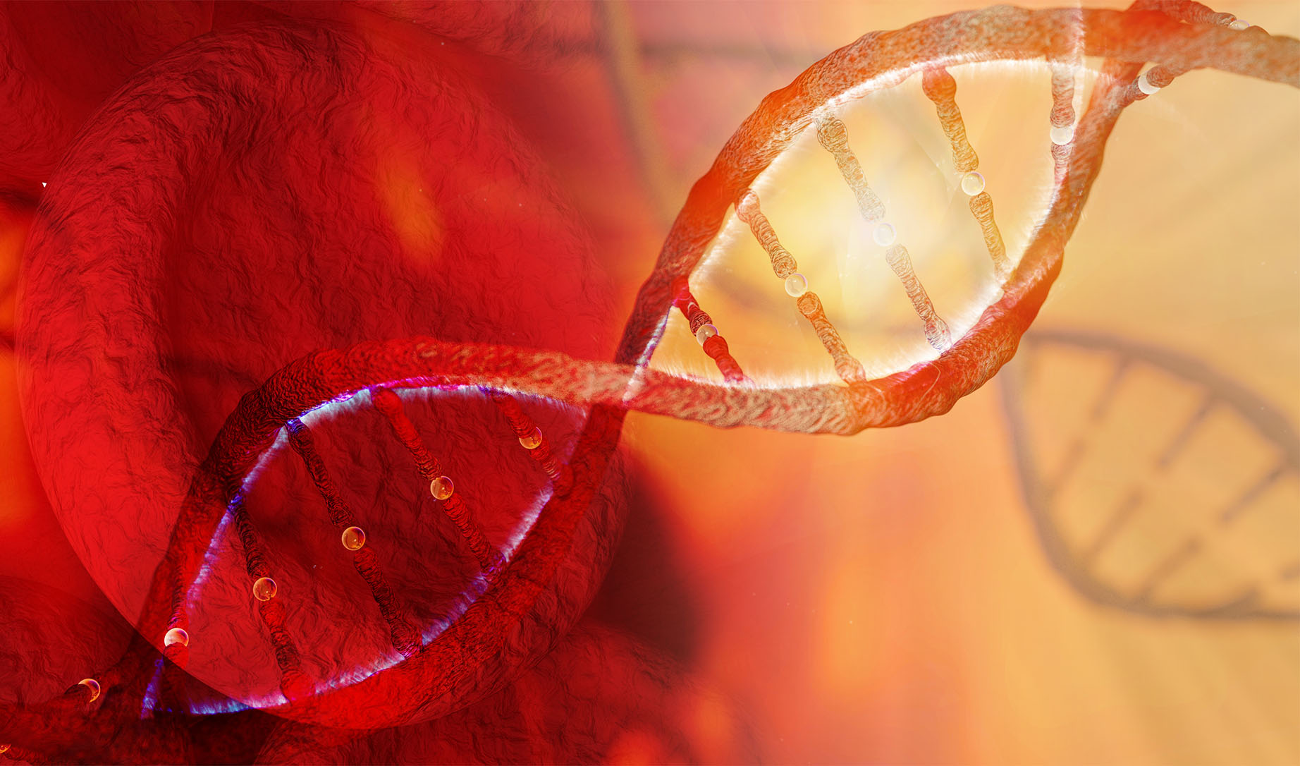 Illustration av DNA-helix i rött och gult framför röd blodkropp.