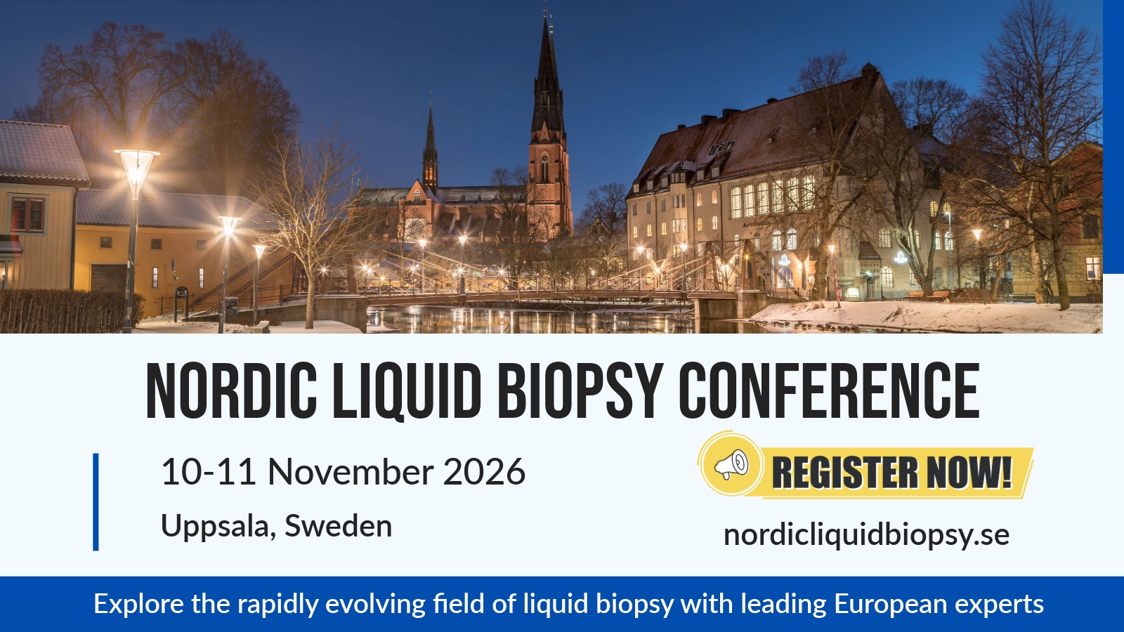 NordicLiquidBipsynConferenceBanner