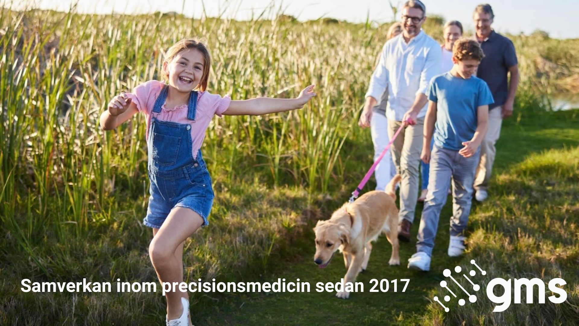 En grupp människor går på en grön stig genom högt gräs en solig dag, tillsammans med en hund.